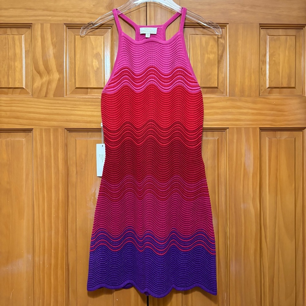 Torn by Ronny Kobo Pink to Red Ombre Mini Dress Size XS NWT
